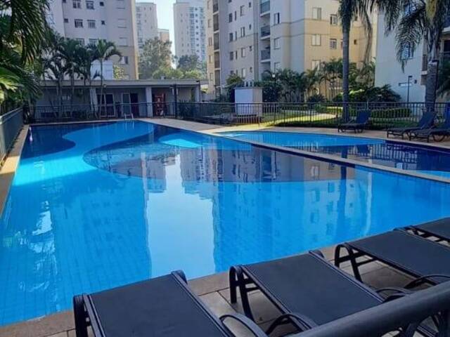 #745 - Apartamento para Locação em São Paulo - SP - 1